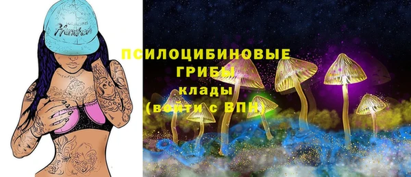 МДПВ Алексин