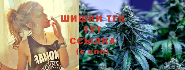 твердый Абаза