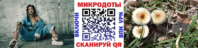 Галлюциногенные грибы Psilocybe  Тутаев 