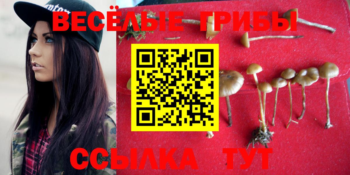Галлюциногенные грибы мухоморы Тутаев